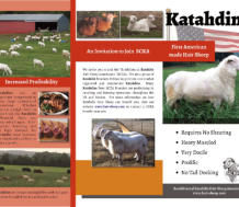 SCKA brochure - South Central Katahdin Association